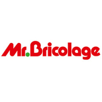 Mr. Bricolage